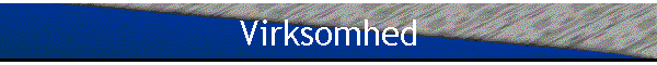 Virksomhed